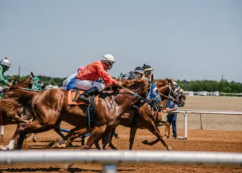 Photo by Absolute Charm from Pexels